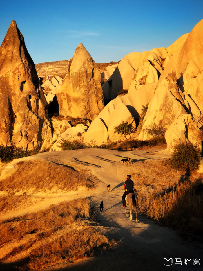 土耳其惊险获胜，晋级希望备受挑战的简单介绍